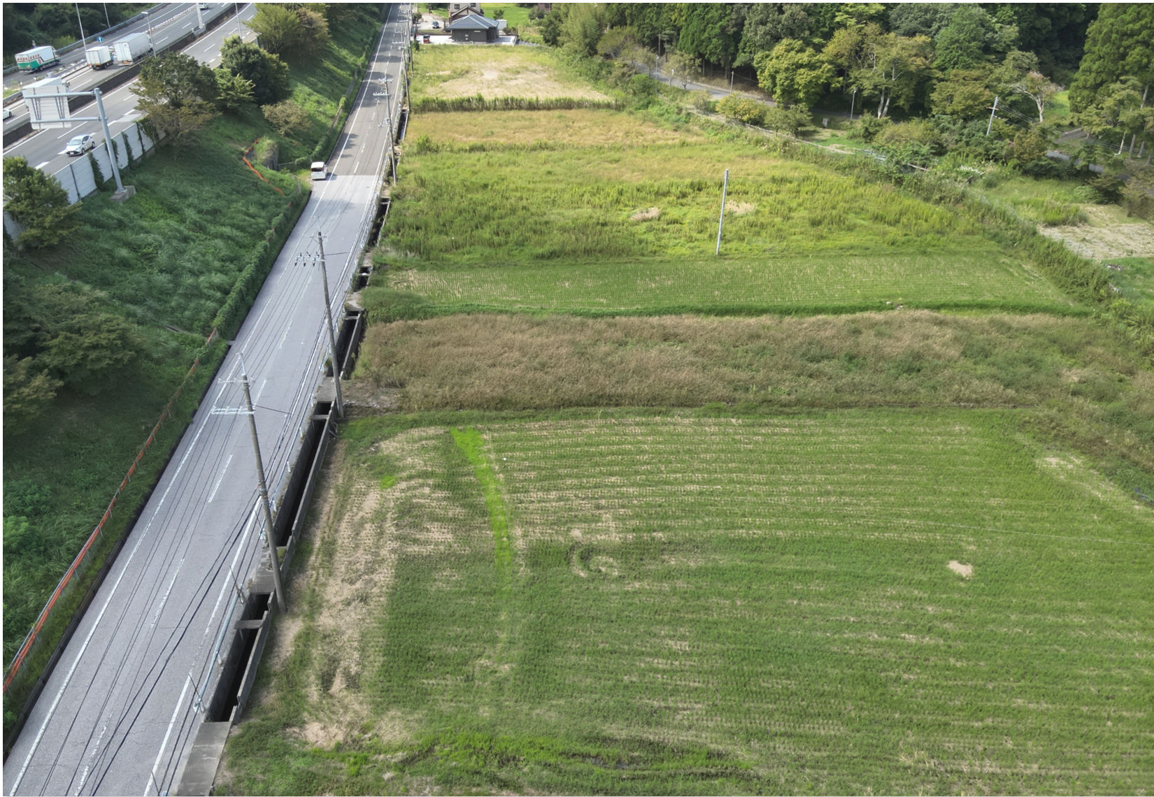 Project Infinity, Kansai, Manoa Energy